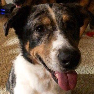 Meet your Posher, Jeanelle